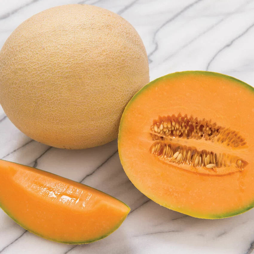Musk Melon Hybrid Sweet Fruit Seeds
