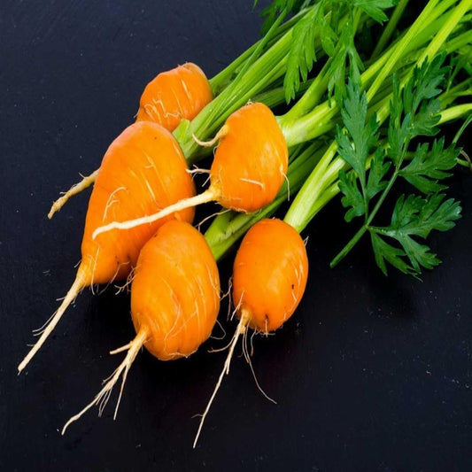 Round Nantes Carrot Vegetable Seeds