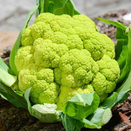 Fresh Green Cauliflower - Verdant & Nutritious Exotic Vegetable Seeds