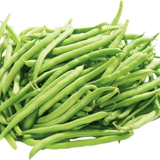 Pericil Beans Nitara Selection Vegetable Seeds