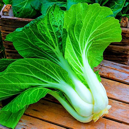 Fresh Pak Choy Green - Crisp, Nutritious & Delicious Vegetable Exotic Vegetable Seeds