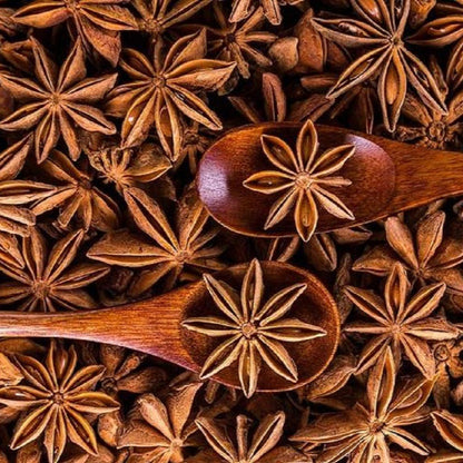 Premium Anise Imported Herb Seeds