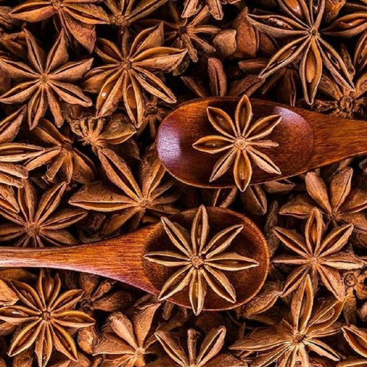 Premium Anise Imported Herb Seeds