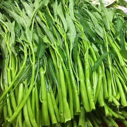 Kalmi Saag Vegetable Seeds – High-Quality Organic Seeds for a Thriving Garden