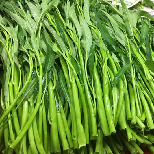 Kalmi Saag Vegetable Seeds – High-Quality Organic Seeds for a Thriving Garden
