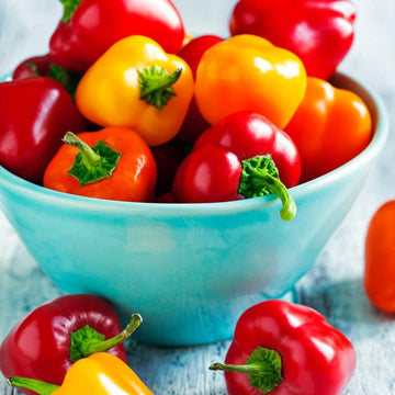 Mini Bell Pepper - Red & Yellow (Capsicum) - Fresh, Sweet & Vibrant Exotic Vegetable Seeds