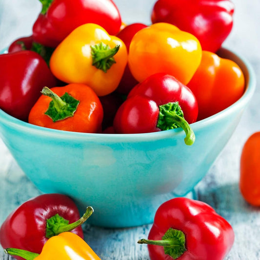 Mini Bell Pepper - Red & Yellow (Capsicum) - Fresh, Sweet & Vibrant Exotic Vegetable Seeds