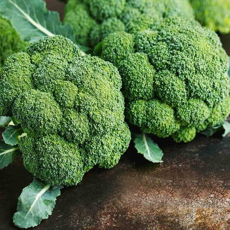 Fresh Imported Green Broccoli - Premium Quality, Nutrient-Rich Exotic Vegetable Seeds