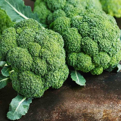 Fresh Imported Green Broccoli - Premium Quality, Nutrient-Rich Exotic Vegetable Seeds