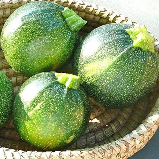 Chappan Kaddu Vegetable Seeds – High Yield, Organic Pumpkin Seeds for Your Garden