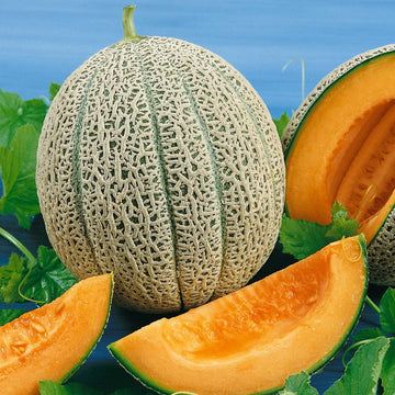 Muskmelon F1 Hybrid Nirupama Vegetable Seeds