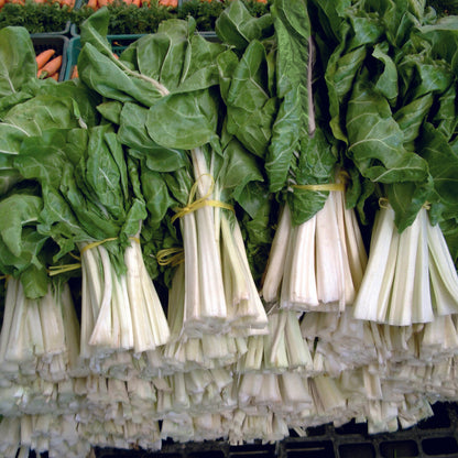 Collard & Swiss Chard White Microgreens Seeds