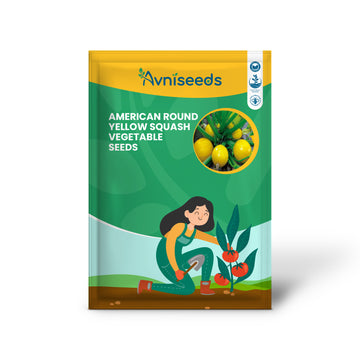 American Round Yellow Squash/Zucchini - Fresh & Vibrant Summer Vegetable