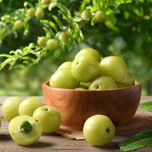 AAMLA Vegetable Seeds - Premium Quality for Healthy Growth & Harvest