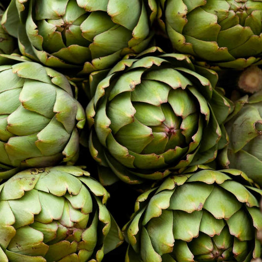 Fresh Artichoke - Green Globe Variety | Premium Quality & Flavorful Exotic Vegetable Seeds