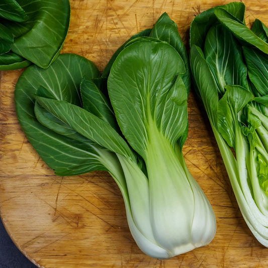 Imported Microgreens Seeds - Chinese Cabbage (Brassica rapa)