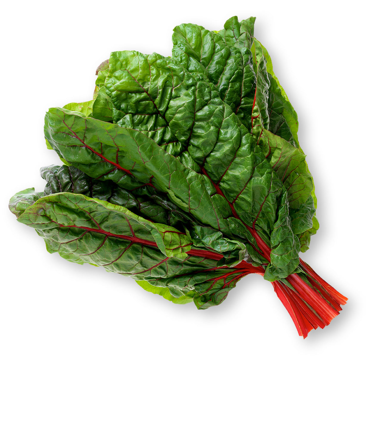 Red Imp Swiss Chard – Fresh and Vibrant, Perfect for Your Kitchen