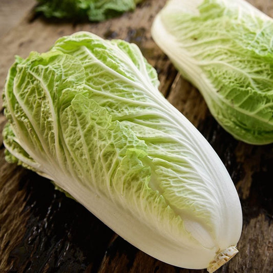 Fresh Chinese Cabbage - Premium Wong Box Exotic Vegetable Seeds
