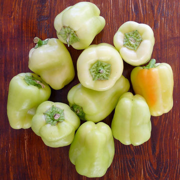 Capsicum Bell Pepper White Exotic Vegetable Seeds