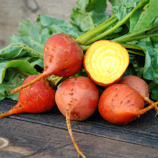 Beetroot  Yellow Microgreens Seeds
