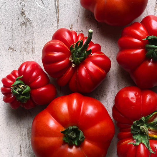 Tomato Heirloom Marglobe Vegetable Seeds