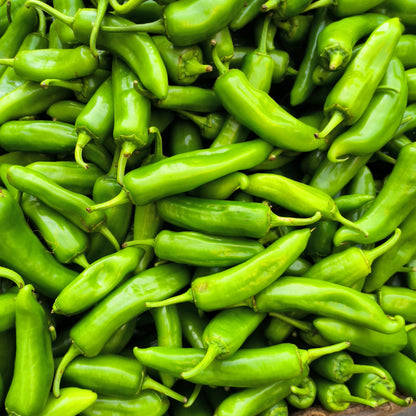 Chilli F1 Corno di Torro Vegetable Seeds