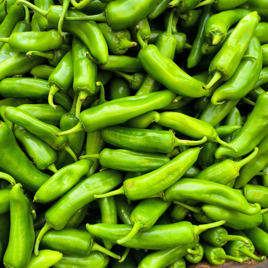 Chilli F1 Corno di Torro Vegetable Seeds