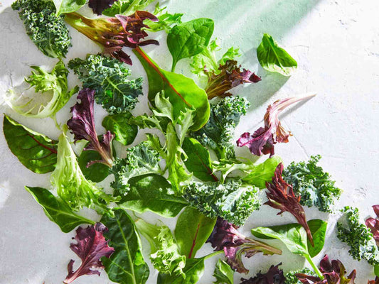 Fresh Mixed Lettuce Blend - 6 Varieties for a Crisp, Flavorful Salad Exotic Vegetable Seeds