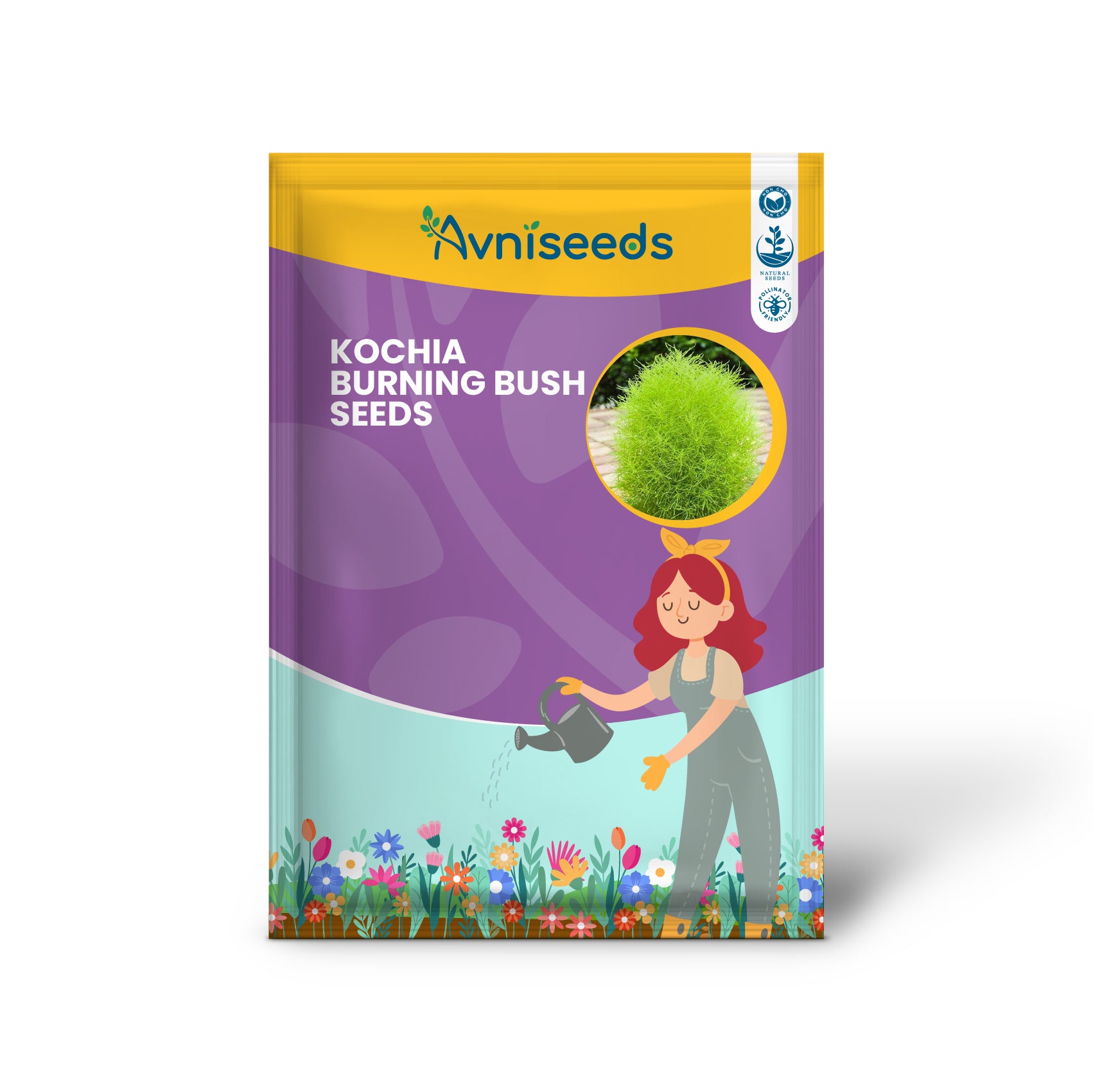 Kochia Burning Bush Seeds