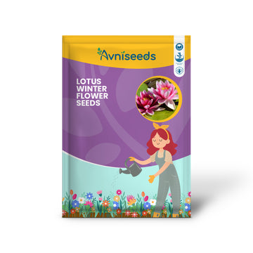 Lotus Winter Flower Seeds - Premium Quality for Stunning Winter Blooms