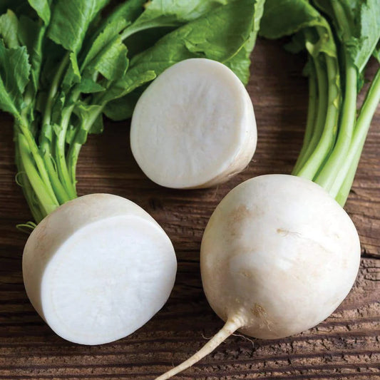 Radish White Round  Herb Seeds