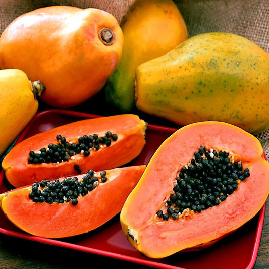 Papaya Selection I Vegetable Seeds