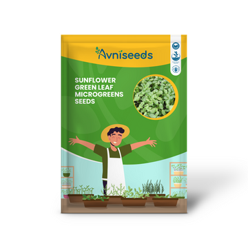 Sunflower Green Leaf Microgreens Seeds