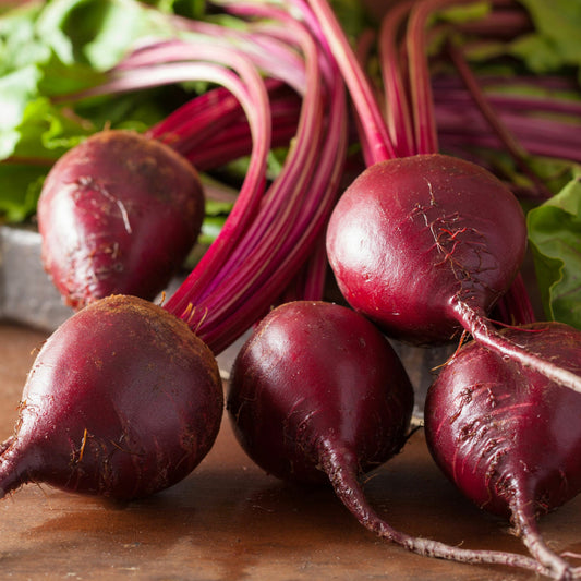 Beet Root F1 Hybrid Vegetable Seeds