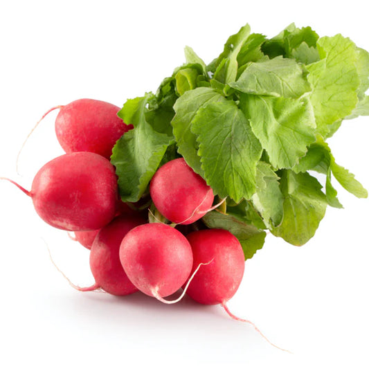 Turnip IMP OS Super Red Vegetable Seeds