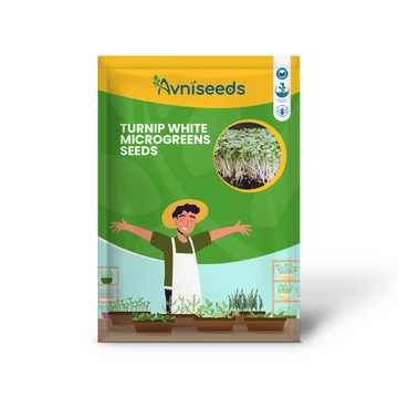 Turnip White Microgreens Seeds
