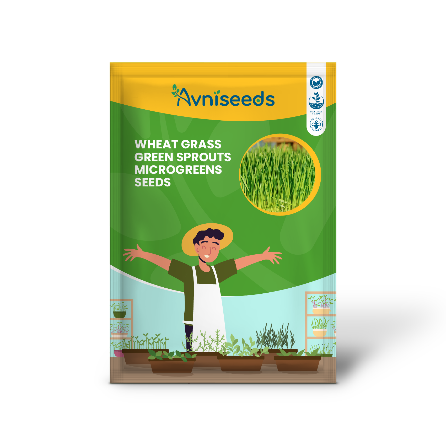 Wheat Grass Green Sprouts Leaf Microgreens Seeds