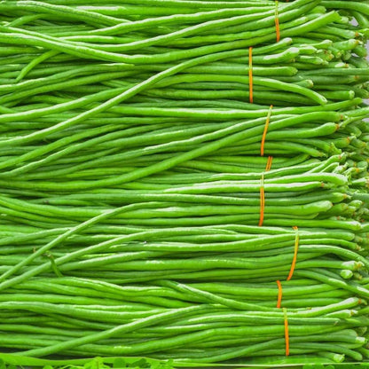 Yard Long Beans Imported Thailand Vegetable Seeds