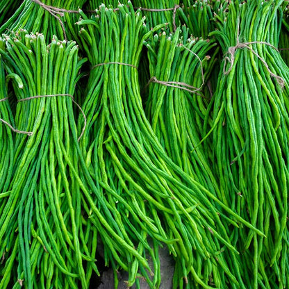 Yard Long Beans Imported Thailand Vegetable Seeds