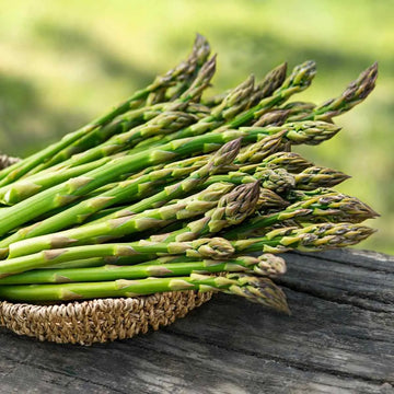 ASPARAGUS Mary Washington – Premium Exotic Veg Seeds