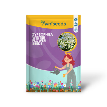 Zypsophila Winter Flower Seeds – Delicate Blooms for Your Garden