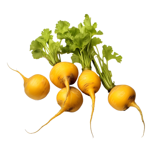 Turnip IMP Golden Yellow Vegetable Seeds