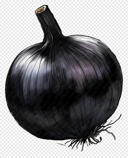 Onion Starz Z Black Vegetable Seeds