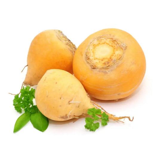 Turnip Yellow Microgreens Seeds
