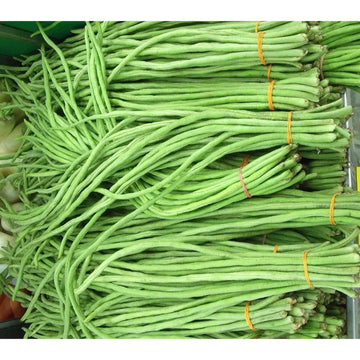 Lobia Cowpea Selection Vegetable Seeds