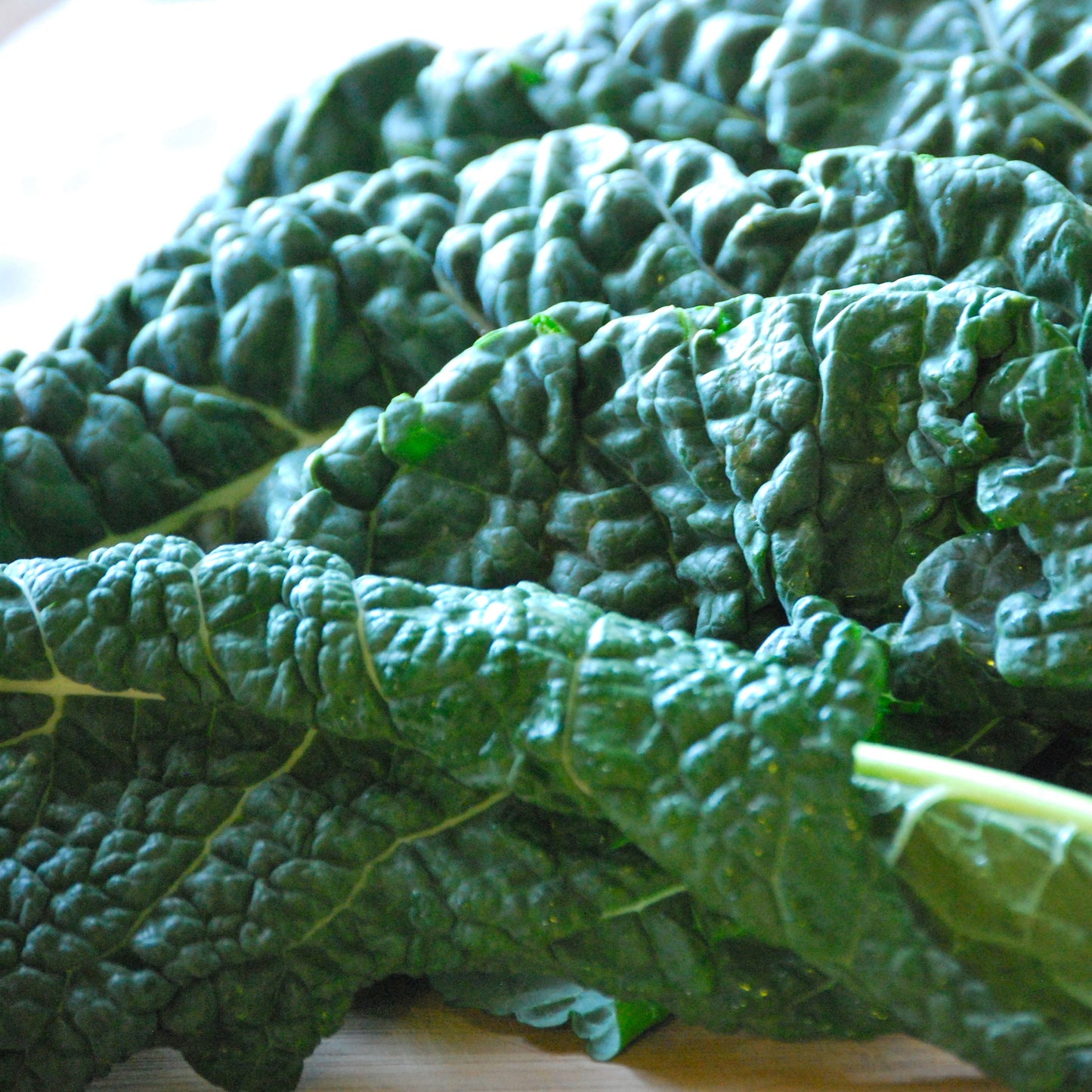 Fresh Tuscan Kale Leaves - Organic, Nutrient-Rich, and Delicious Exotic Vegetable Seeds