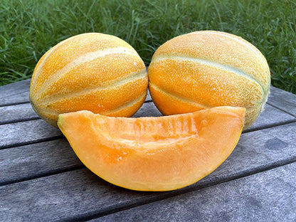 Musk Melon Hybrid Sweet Fruit Seeds