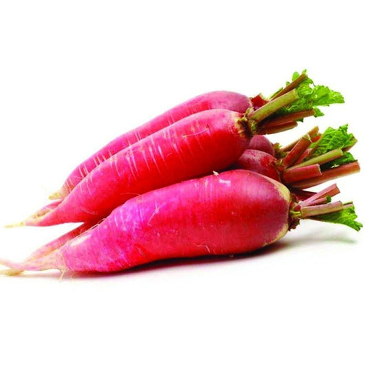 Premium Radish Long Red Vegetable Seeds