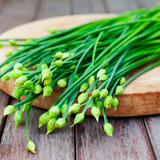 Imported Garlic Chives Herb Seeds