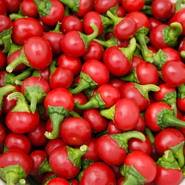 Hot Pepper Round Shaji Seeds Exotic Vegetable Seeds